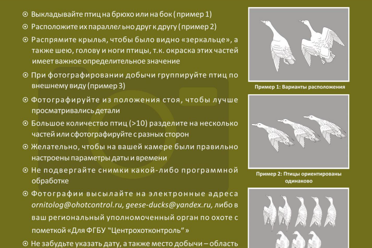 Фотографии с охоты - в помощь науке