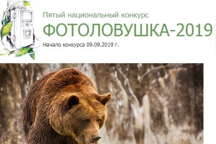 ФОТОЛОВУШКА - 2019