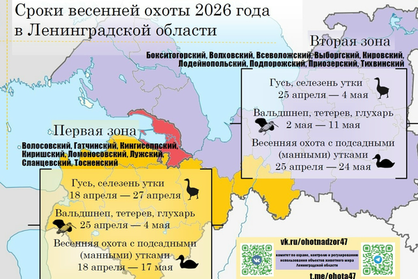 Об открытии весенней охоты в Ленинградской области