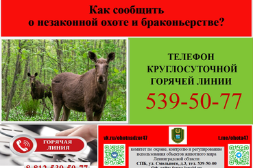 О порядке сообщения о правонарушениях в сфере природопользования и охраны животного мира