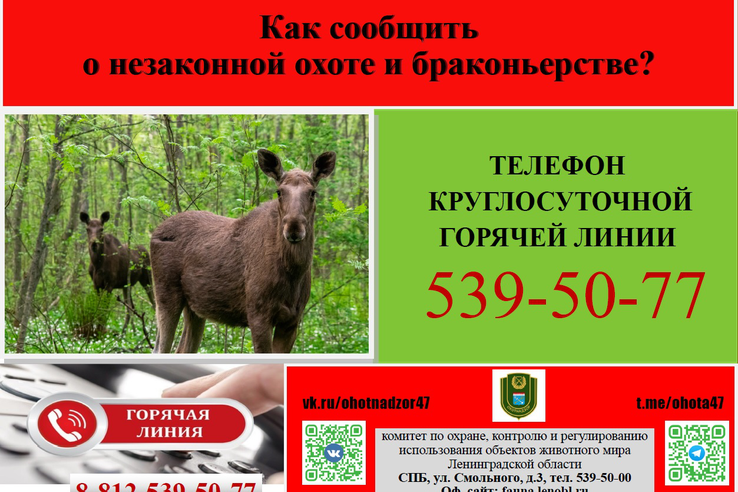 О порядке сообщения о правонарушениях в сфере природопользования и охраны животного мира