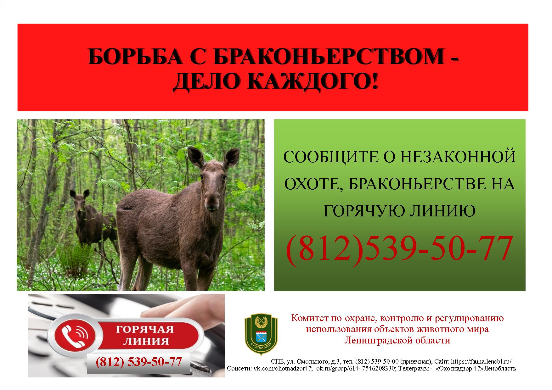 Горячая линия по борьбе с браконьерством - (812) 539-50-77