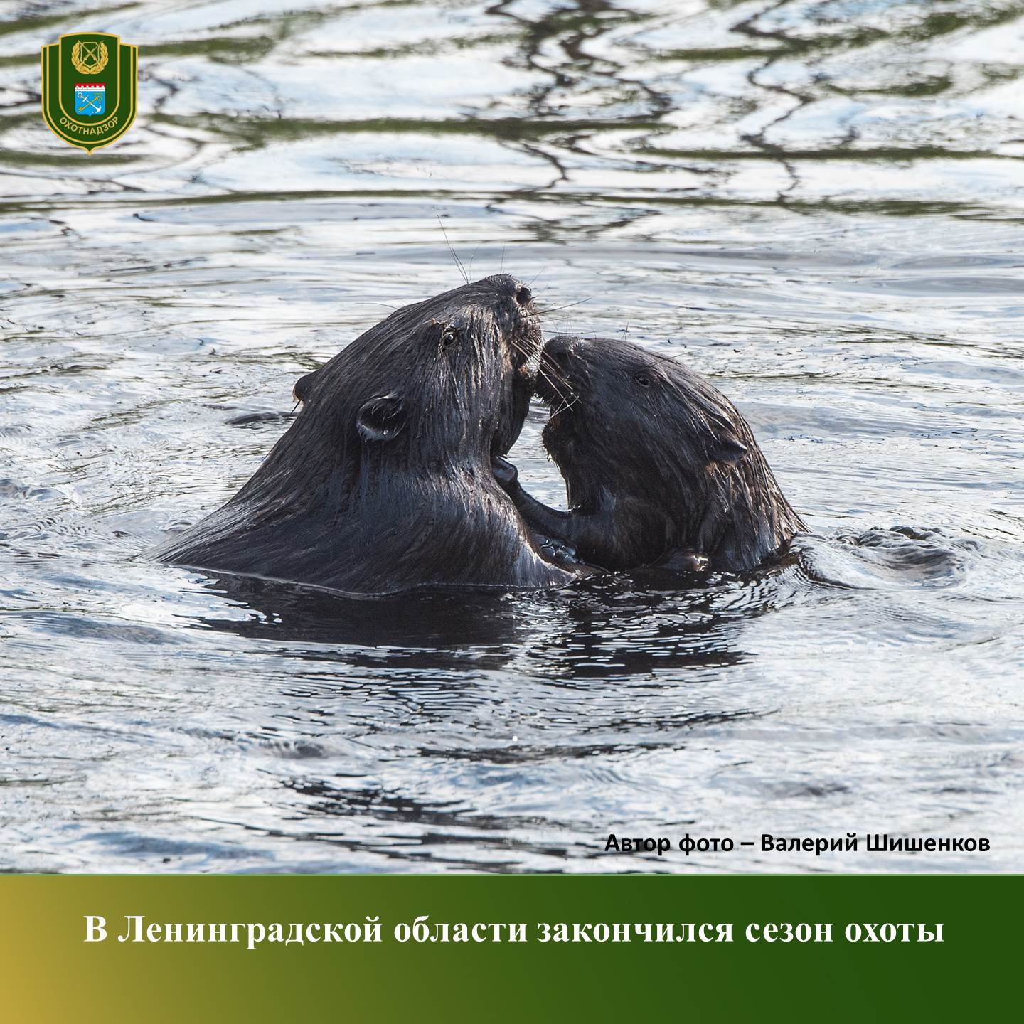 Об ужесточении наказания за нарушение правил охоты - Карта охотника